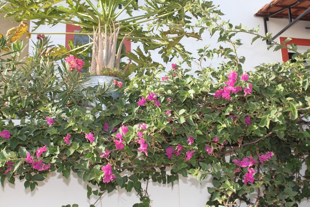 Bed and Breakfast Yria Residencial Porto Novo Exterior foto